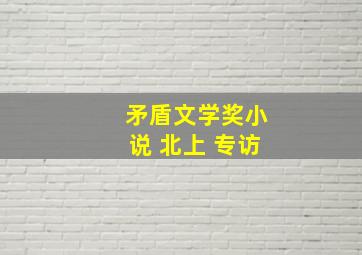 矛盾文学奖小说 北上 专访